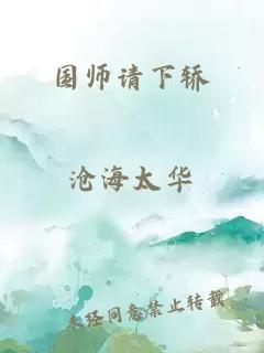 国师请下轿