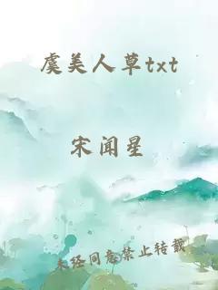 虞美人草txt