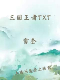 三国王者TXT