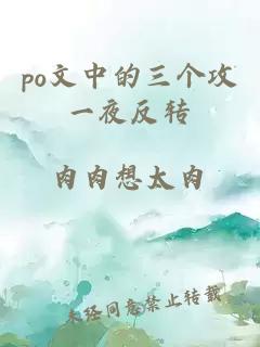 po文中的三个攻一夜反转