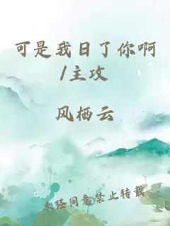 可是我日了你啊/主攻