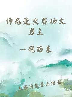 师兄是火葬场文男主