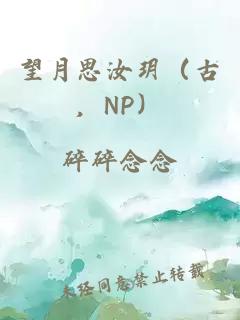 望月思汝玥（古，NP）