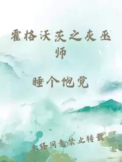 霍格沃茨之灰巫师