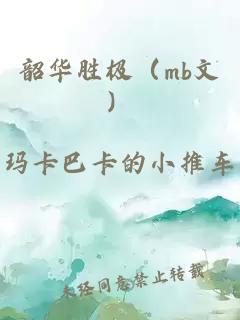 韶华胜极（mb文）