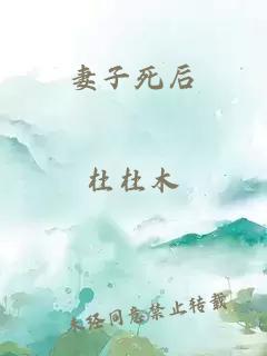 妻子死后