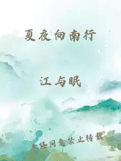 夏夜向南行