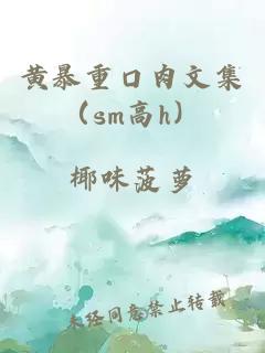 黄暴重口肉文集（sm高h）