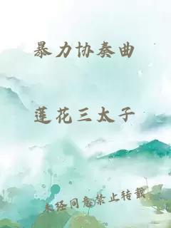 暴力协奏曲