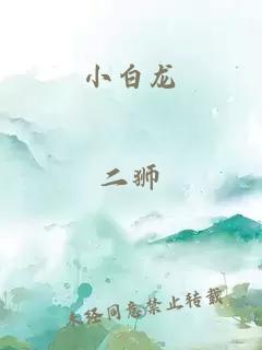 小白龙