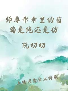 师尊乖乖里的葡萄是纯还是仿