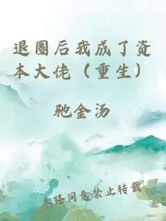 退圈后我成了资本大佬（重生）