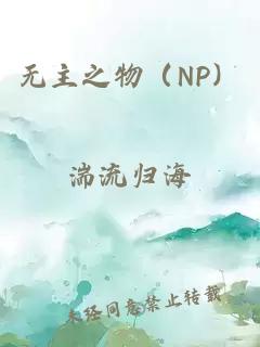 无主之物（NP）