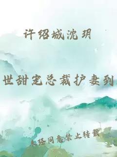 许绍城沈玥