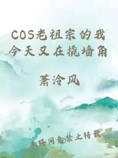 COS老祖宗的我今天又在撬墙角