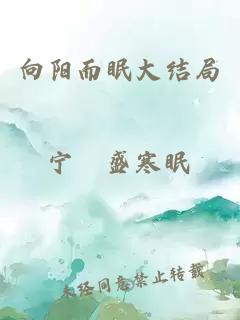 向阳而眠大结局