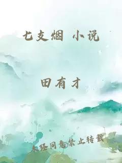 七支烟 小说