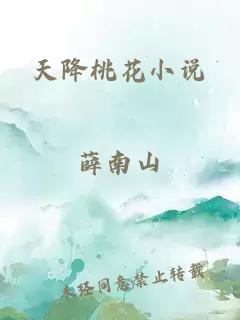 天降桃花小说