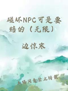 碰坏NPC可是要赔的（无限）