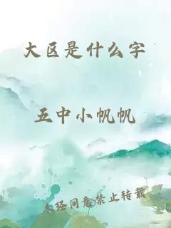 大区是什么字