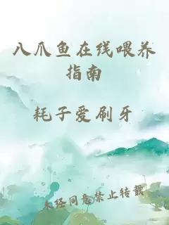 八爪鱼在线喂养指南