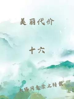 美丽代价