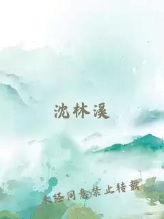 沈林溪