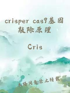 crisper cas9基因敲除原理