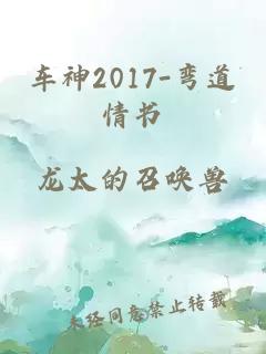 车神2017-弯道情书