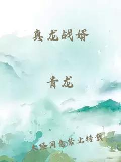 真龙战婿