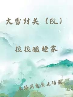 大雪封关（BL）