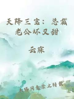 天降三宝：总裁老公坏又甜